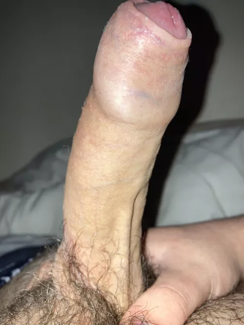 19 uncut Irish cock. Who wants it?