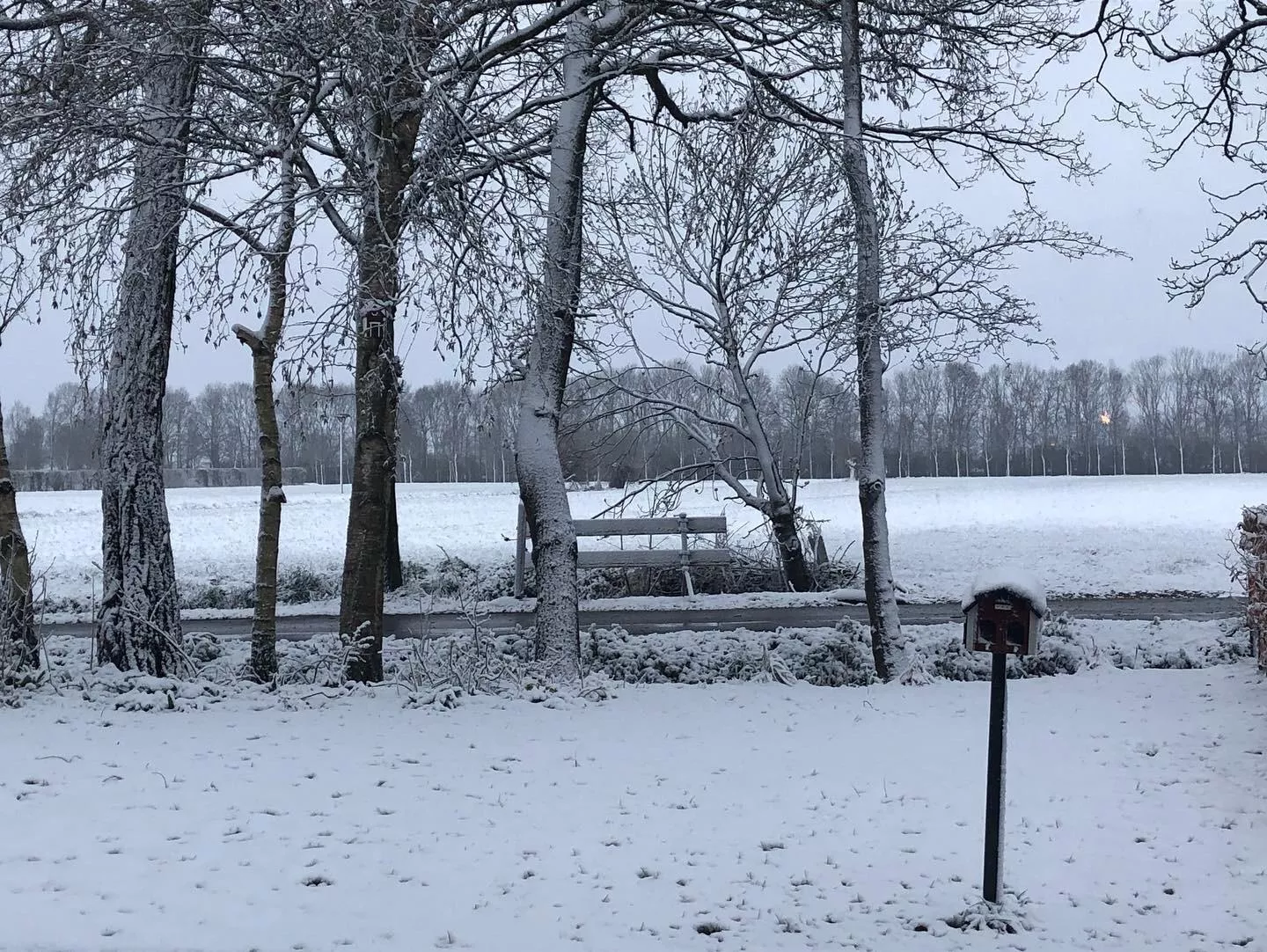 1st April should be spring in the Netherlands