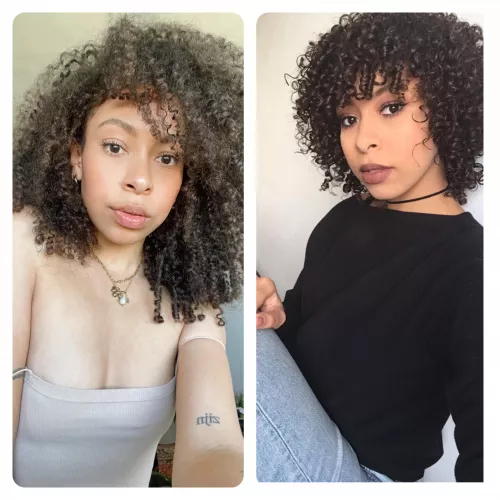 2020 vs 2017. Which one? Dutch x Surinamese