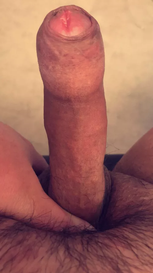 21 bi vers needing to top some tight 🍑