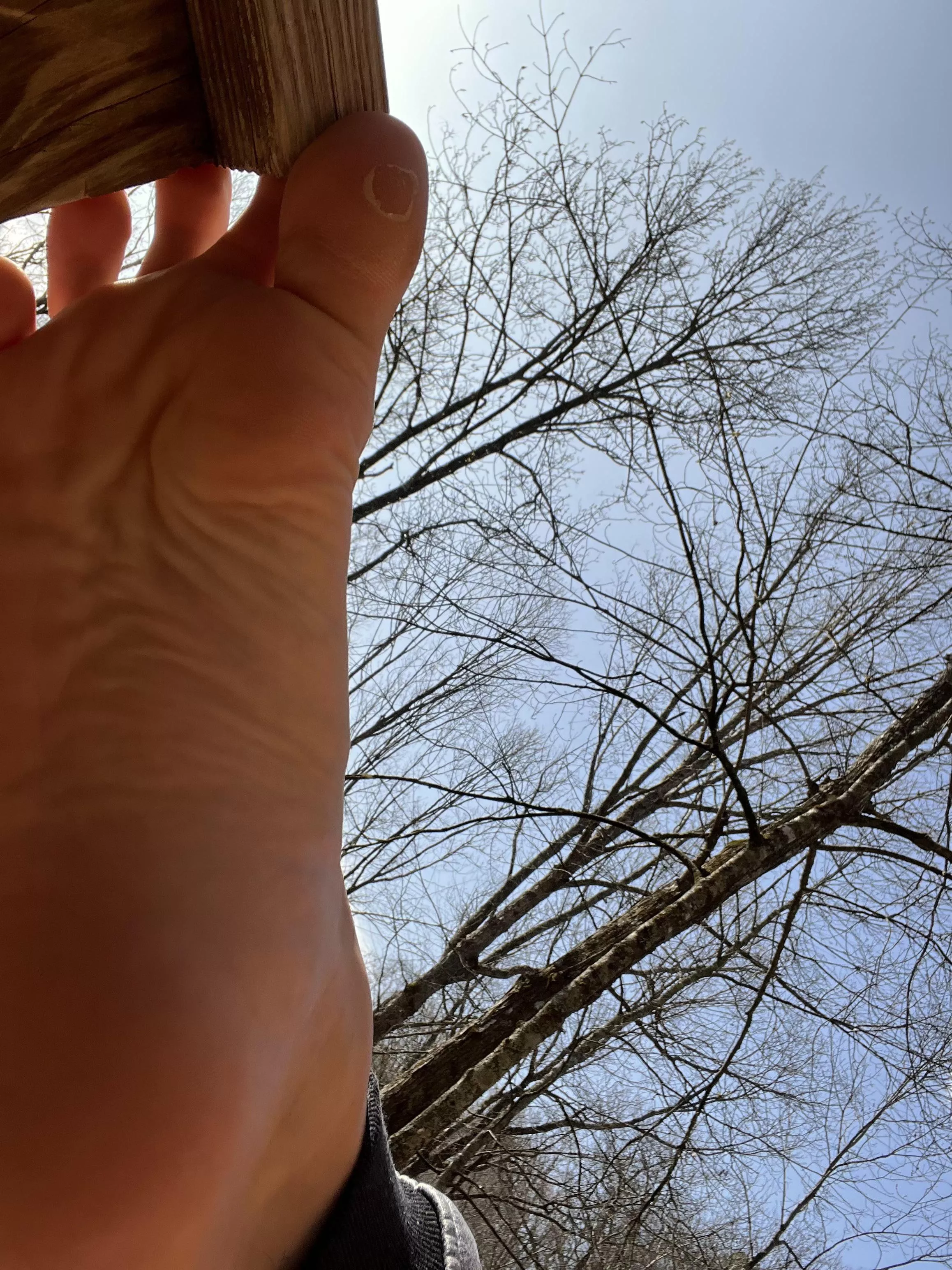 21 lick every surface [oc]