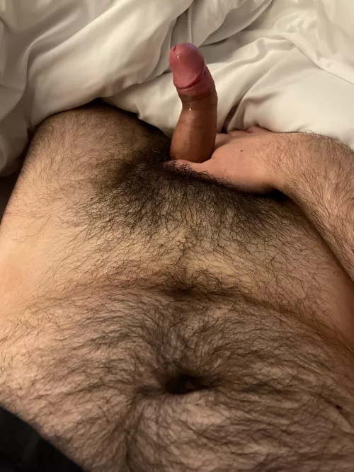 23 dms open