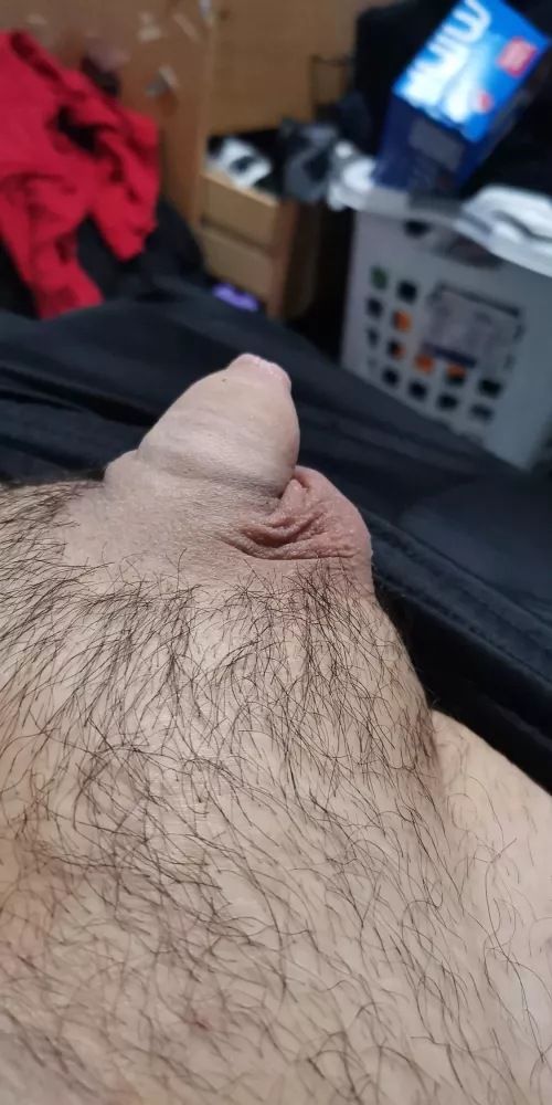 [34] Upvote to help me cum, I won’t cum till I get at least fifteen upvotes ;)