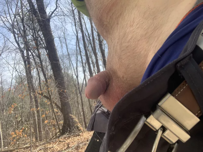 [35] Out for a “little” walk in the woods.