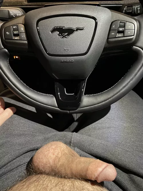 [48] driving around in my, “I am bi can can do anything about it”car