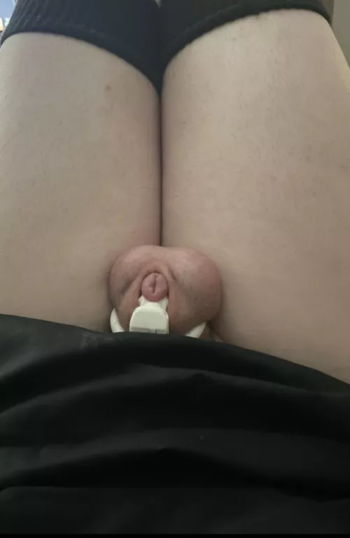 5 days locked so far and my clitty is beyond swollen🥺