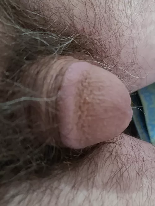 [58] loves the attention