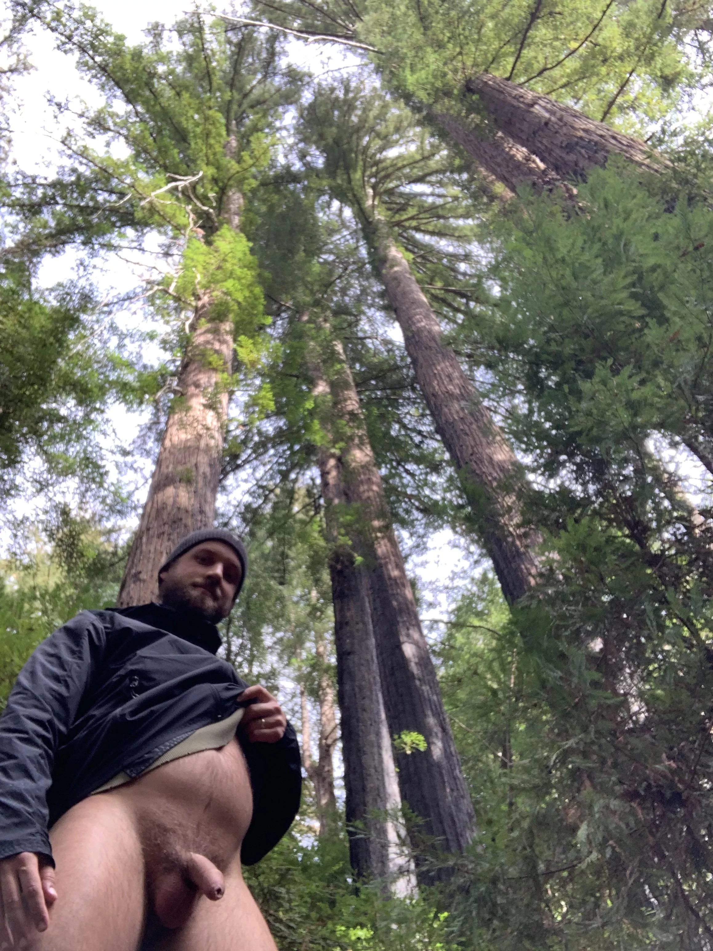 A little flash in the forest.