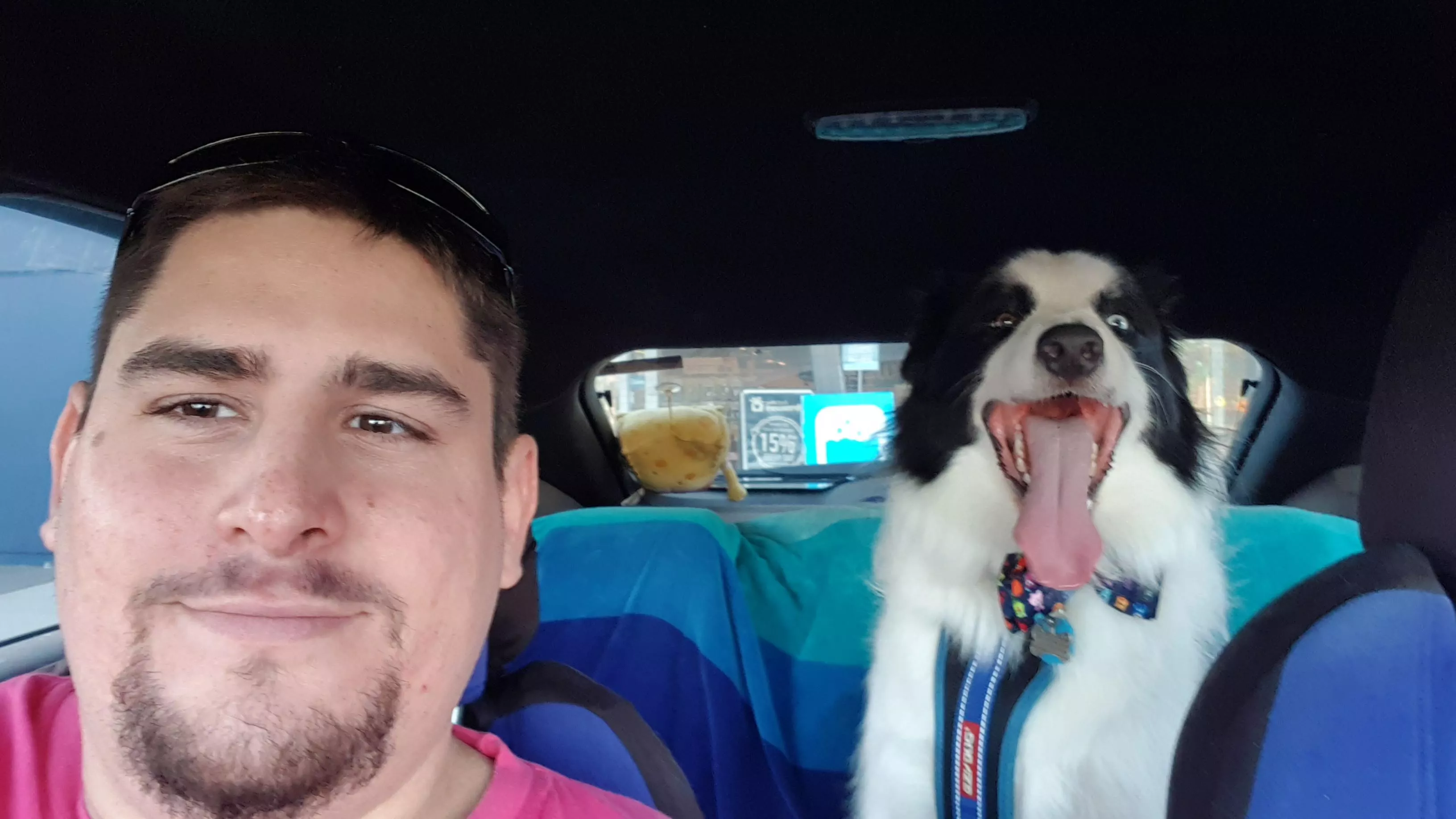 Advanced into the dirty 30s yesterday. Spent the arvo giving this dribbling floofball a much-needed groom at mum's 🙂