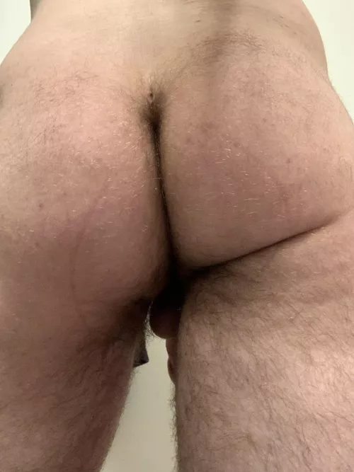 All I want is somebody to tribute my hairy ass (or any other part of me you want to see, just DM)