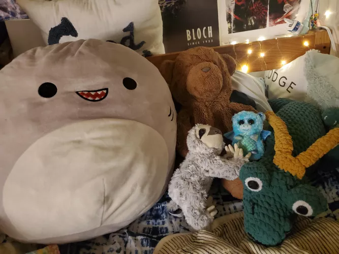 All my stuffies here at college!