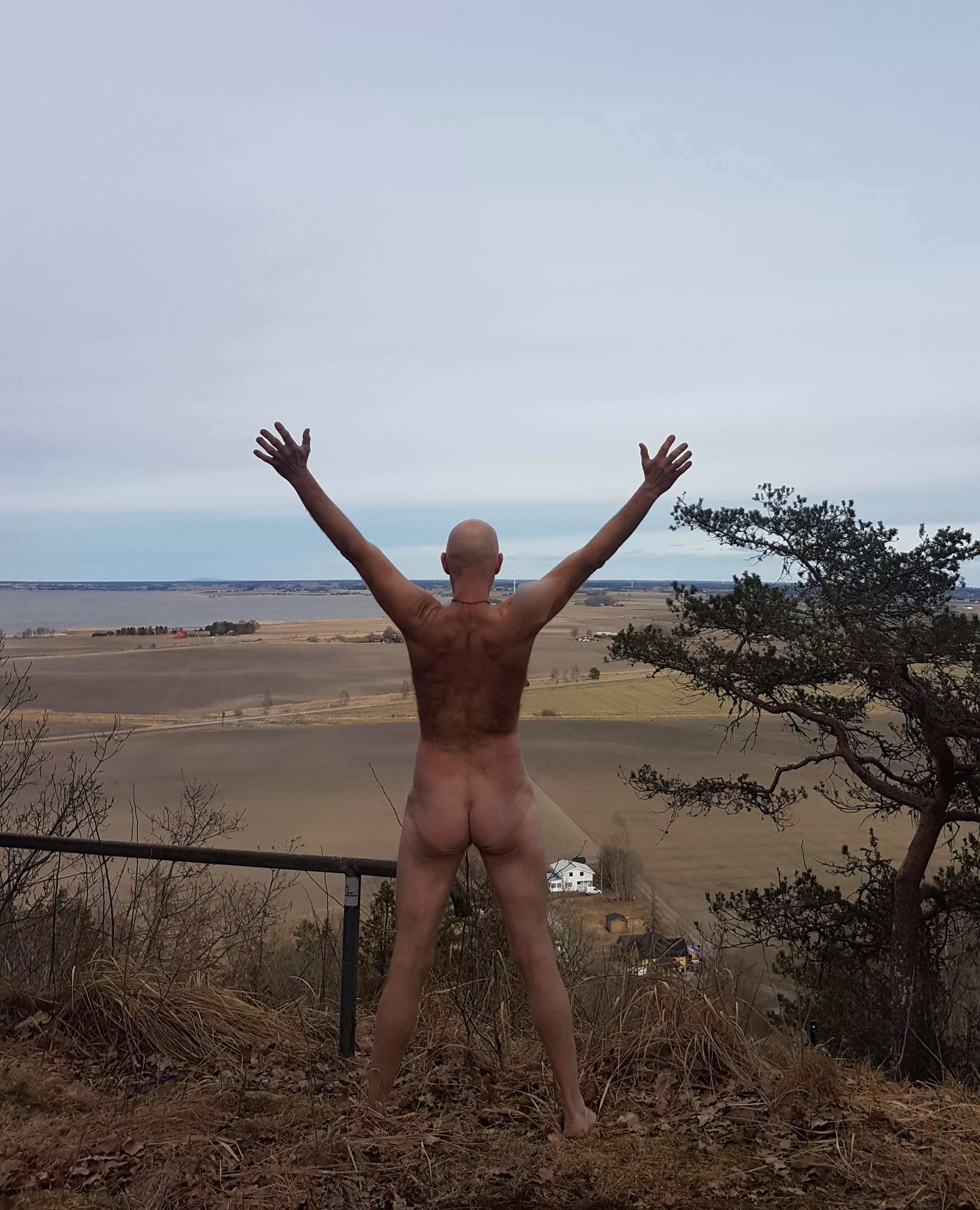 Almost springtime🌼