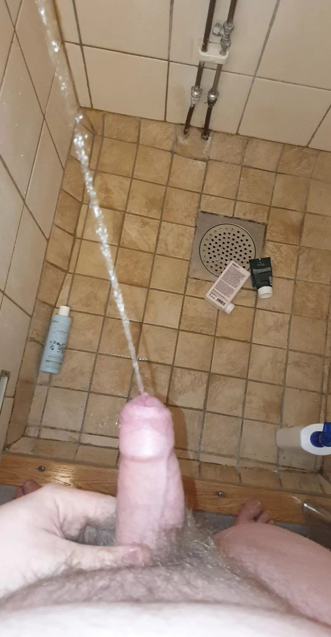 anyone else like to pee i the shower?