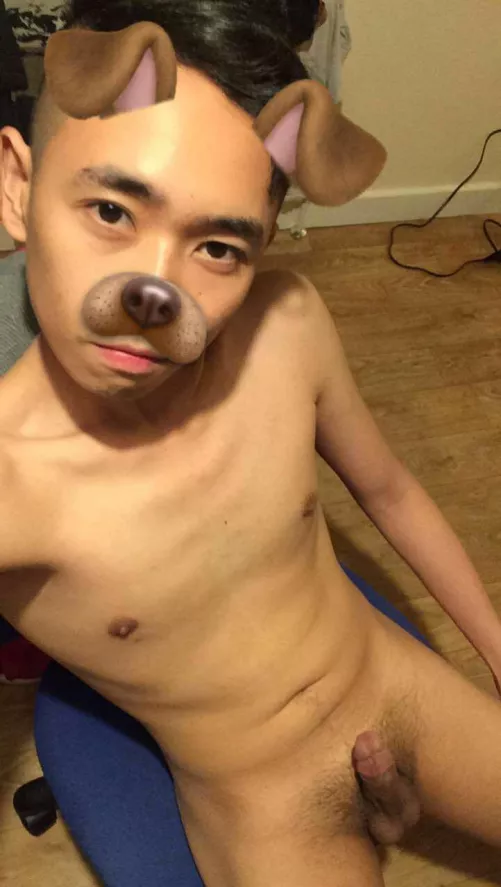 Anyone into an Asian puppy?