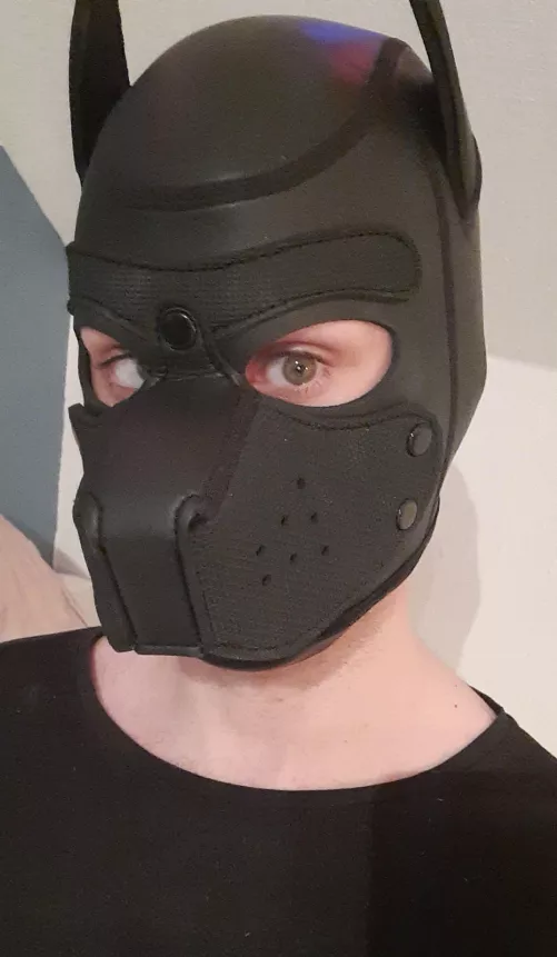 anyone wanted lil pup girl? need more pupgirls in the pupplay comunity hehe 🥰