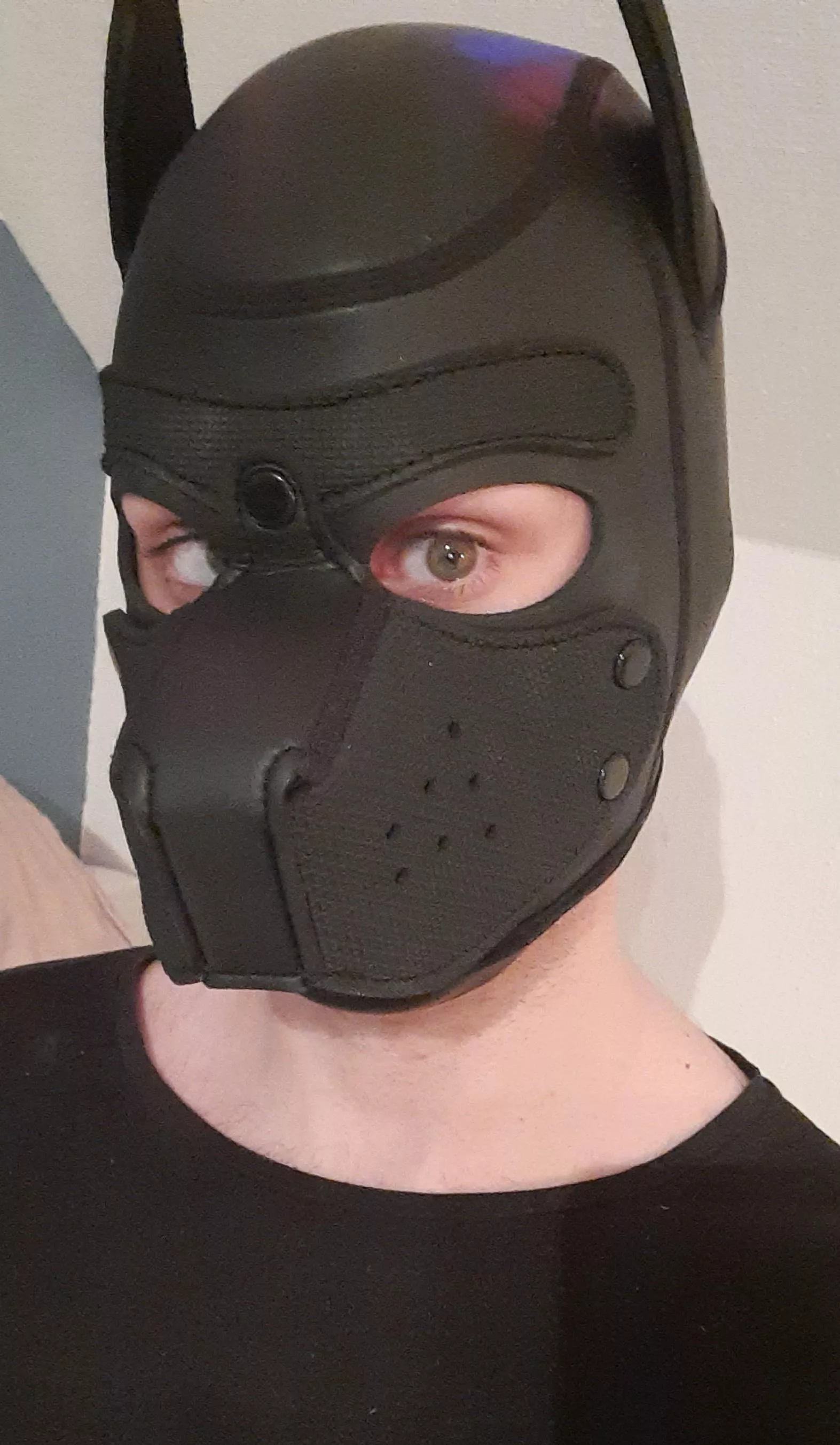 anyone wanted lil pup girl? need more pupgirls in the pupplay comunity hehe 🥰