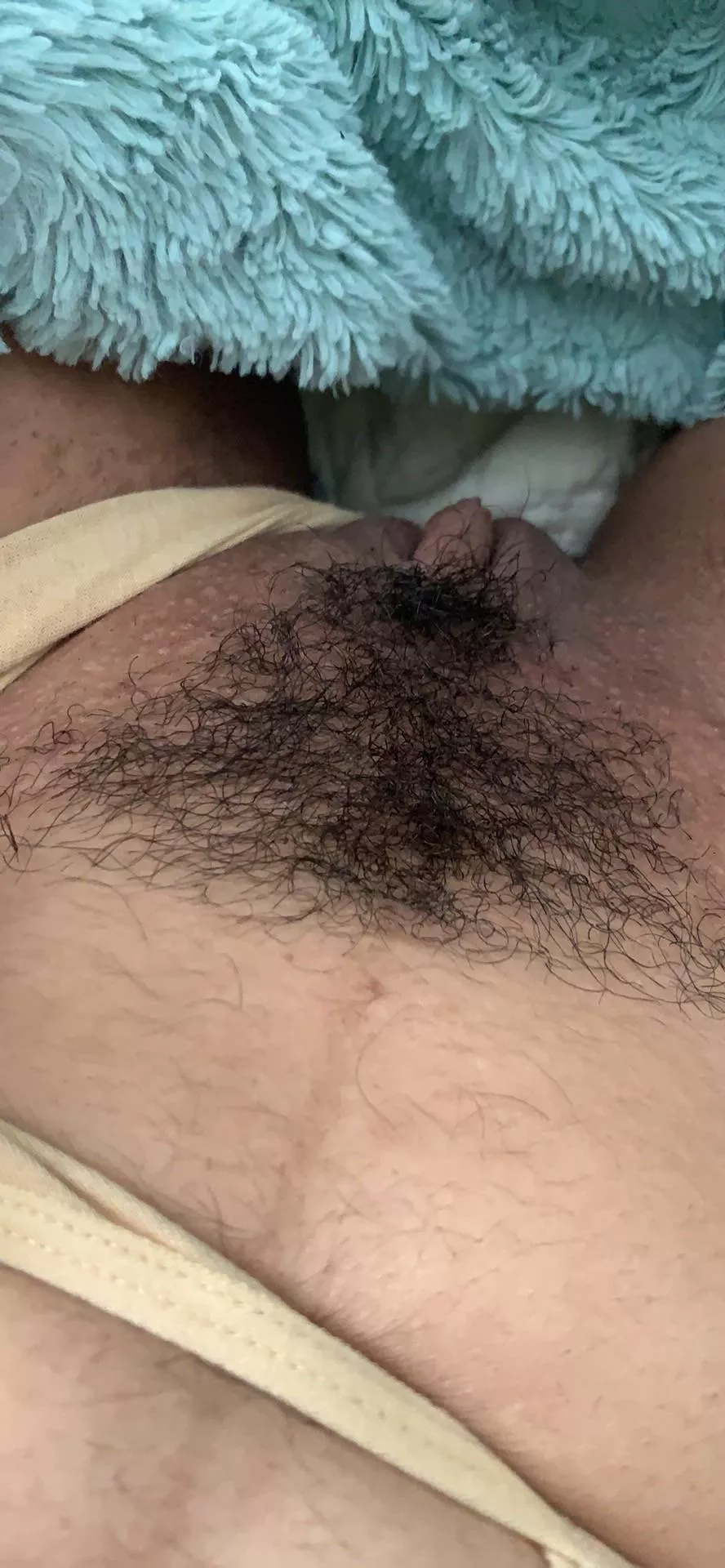 ��are you thanfkul for my bush?