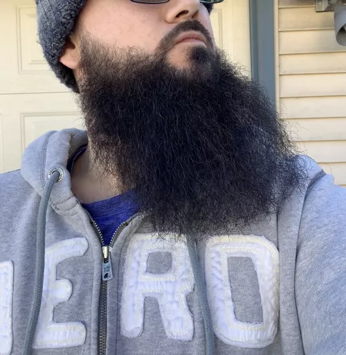 Bearded Bull Breeder Here
