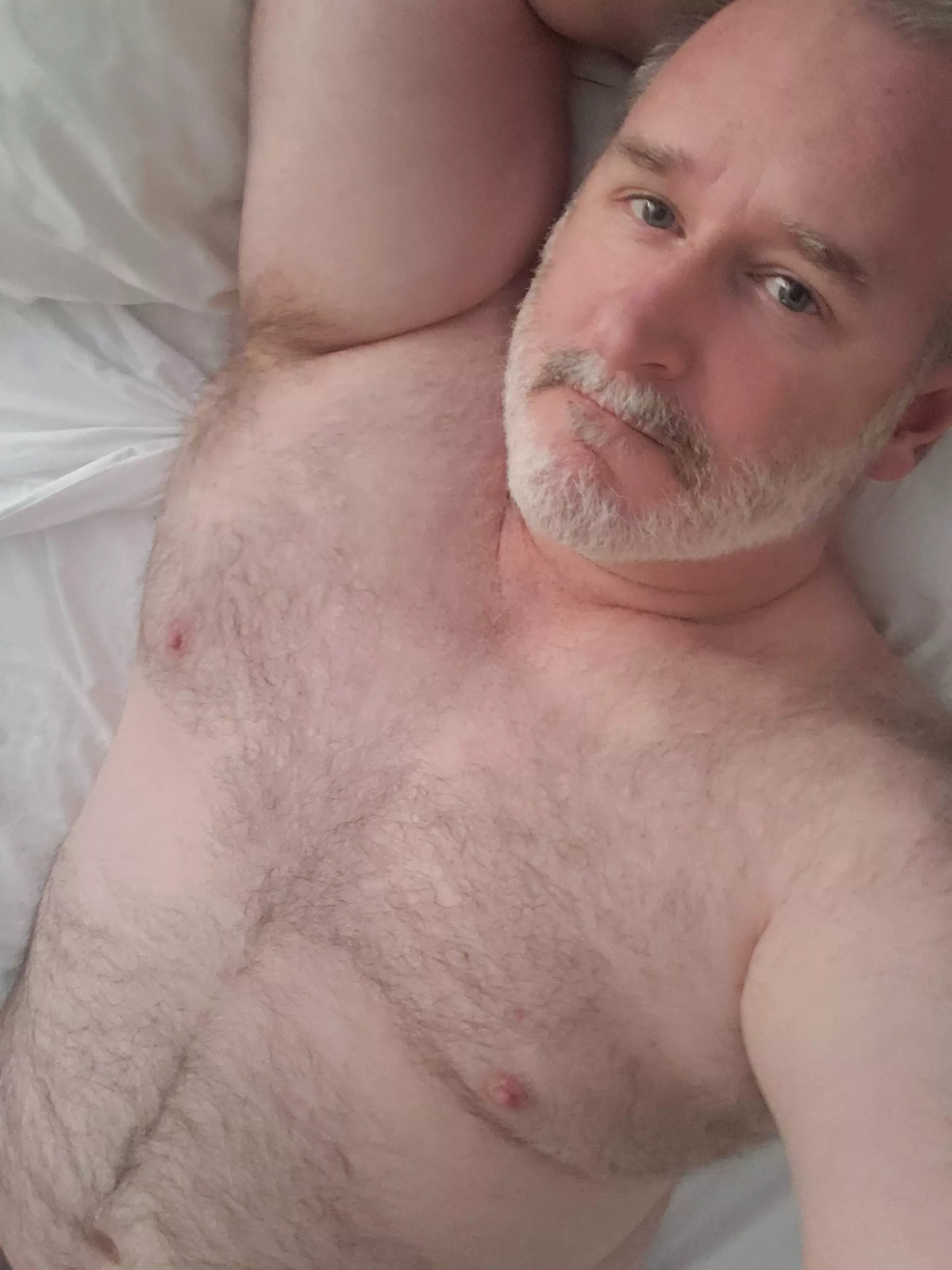 Bears are for cuddling with, right?