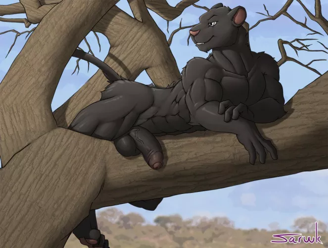 Black panther (Saruuk)