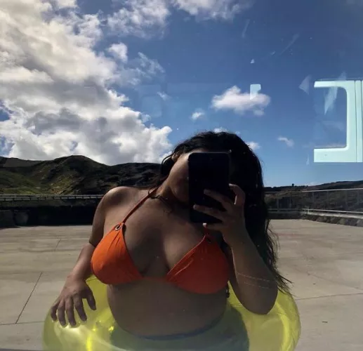 Border bunny 4 MAGA cock