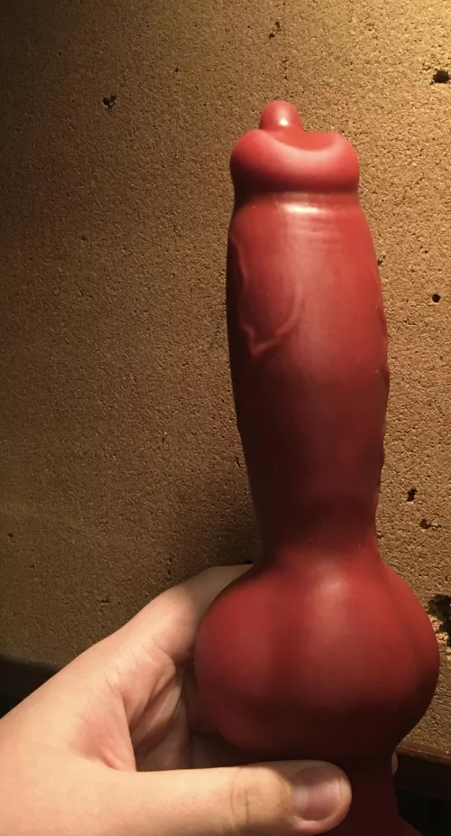 Brand new friend to play with! Can’t wait to be knotted by this L/S Rex from bad dragon.