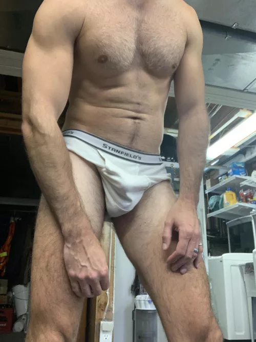 Briefs bulge. Any fans of white briefs?