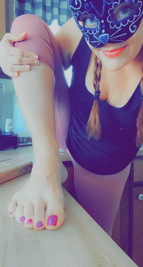 Can I walk on your countertops? 😽