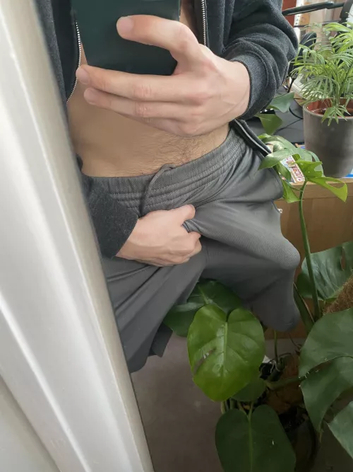 can you see him? 🙈