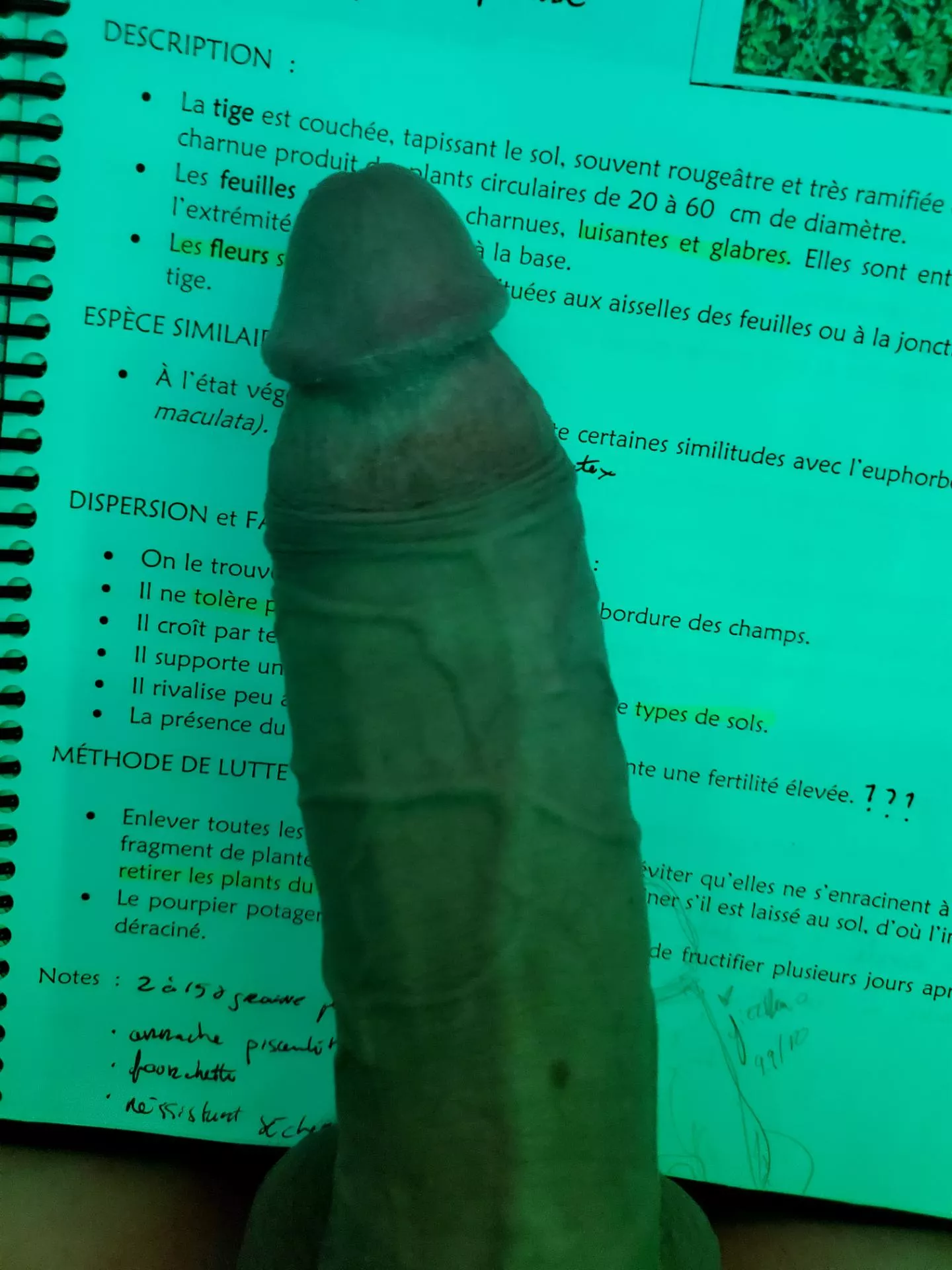 can't get cock off my mind ... can't get cock off my mind ...