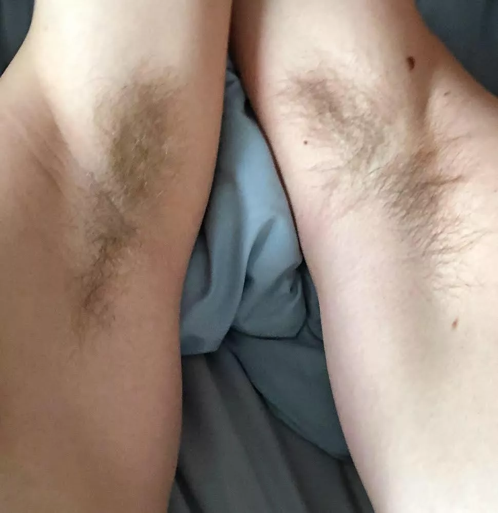 Care to give us a lick?