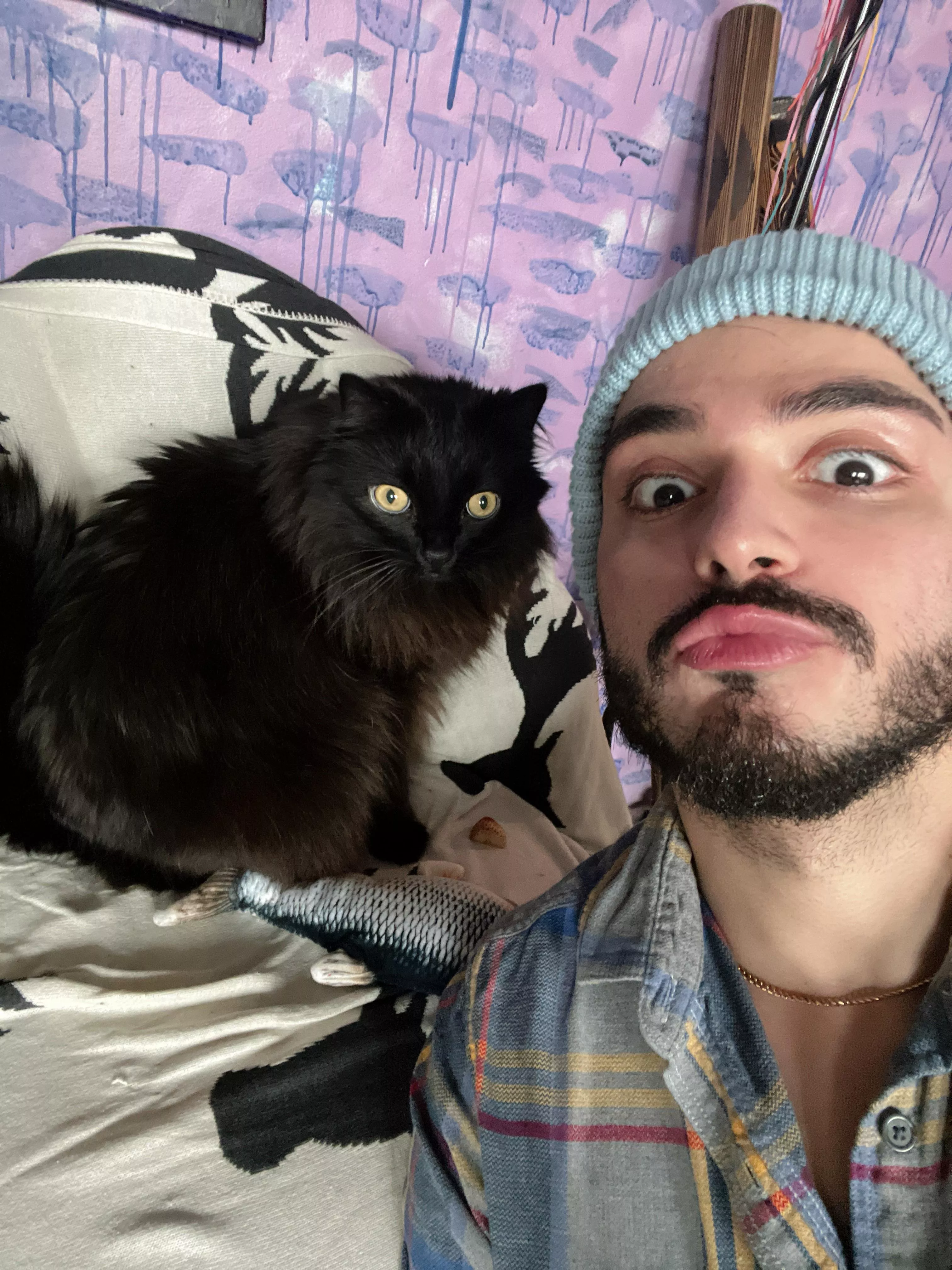 Cats love me 🥹 Cats love me 🥹