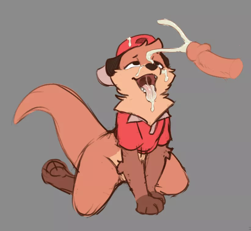 Chester [MM] (elicitie)