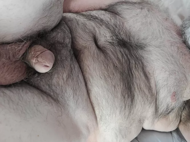 chubby and hairy