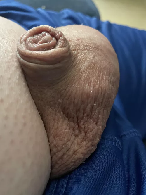 Cute little snout (40)