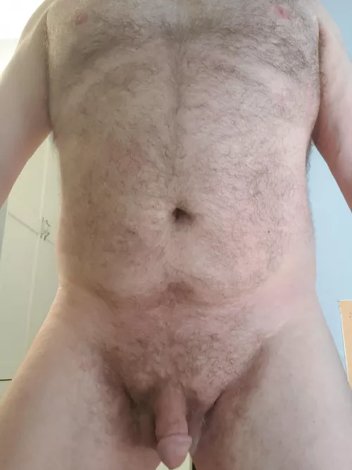 daddy bear looking and showing