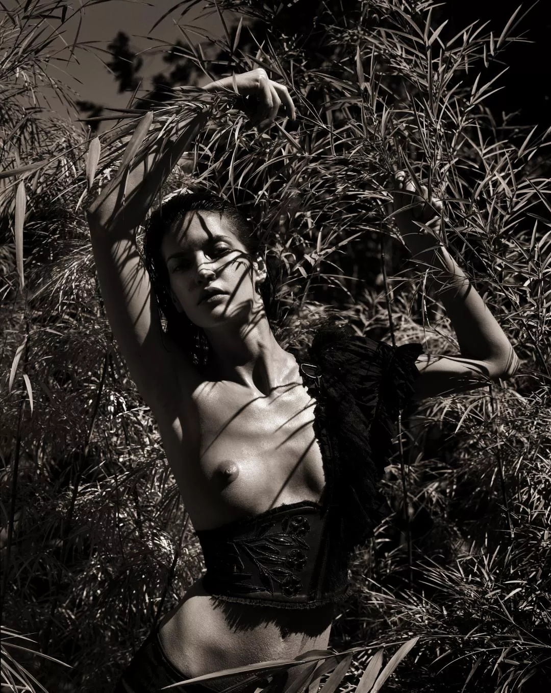 Diana Dondoe</>The Patrick Demarchelier</>Pirelli[2005]*This is the kind of tribute the legend*