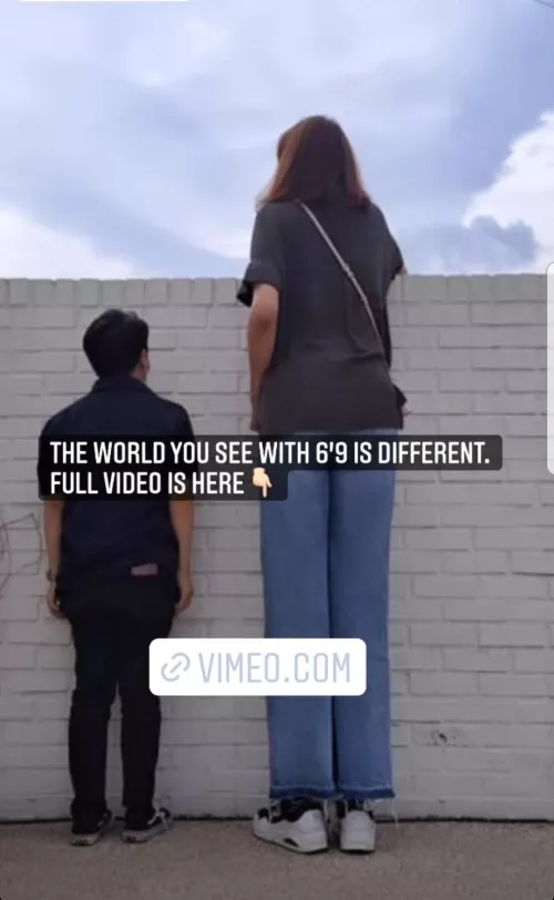 different perspectives