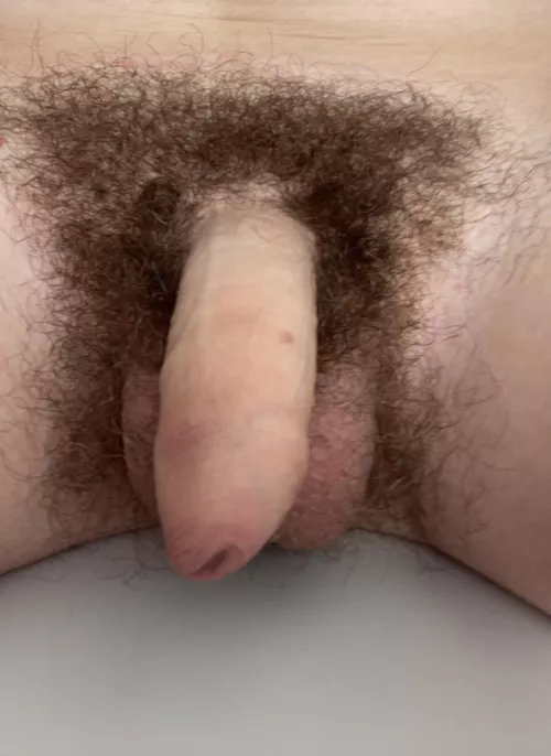 Do u like my hairy uncut cock (M18) dm me for more ;)
