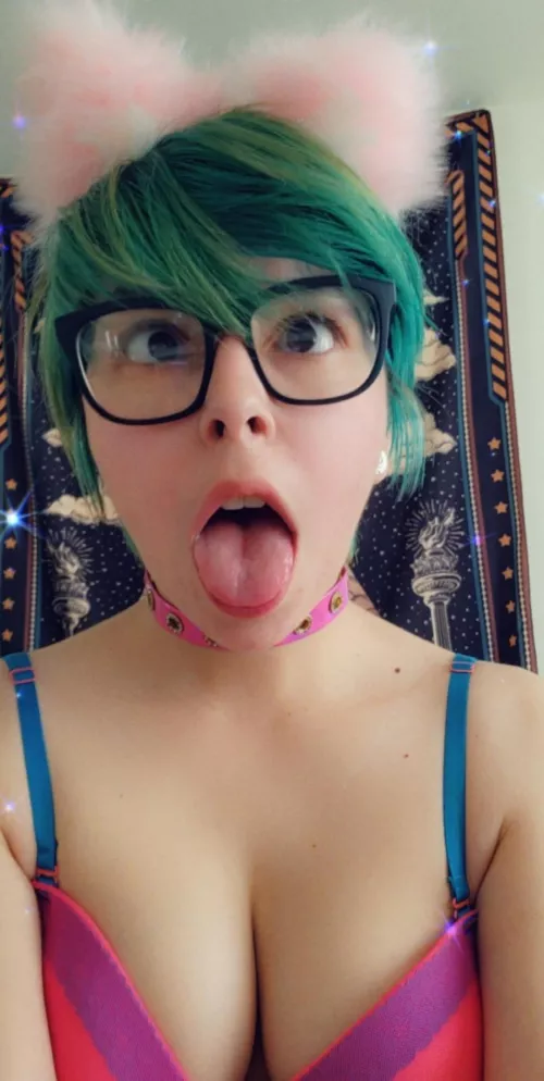 do you like mindless little catgirls? no thoughts just an eager mouth :3