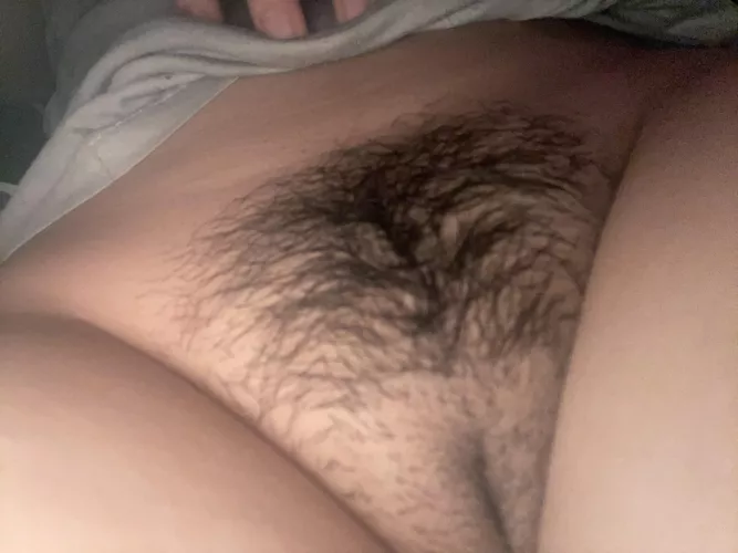 Do you like my 19yo Filipina bush?;)