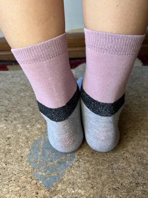 do you like my old socks?