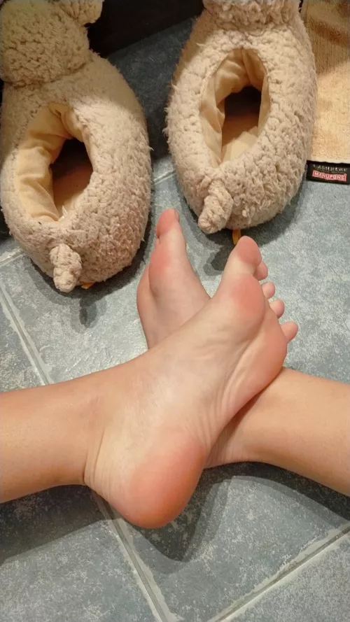 Do you think they are smelly after walking with my warmy slippers? 😏