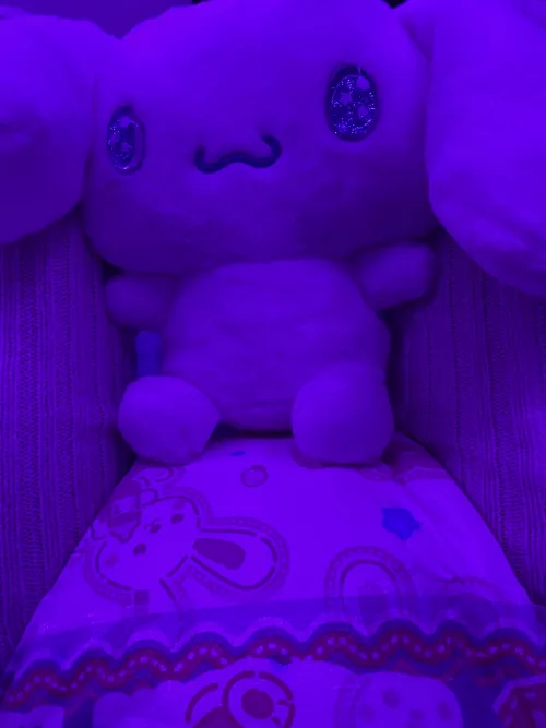 Don’t forget to tell your stuffie(s) you love them!