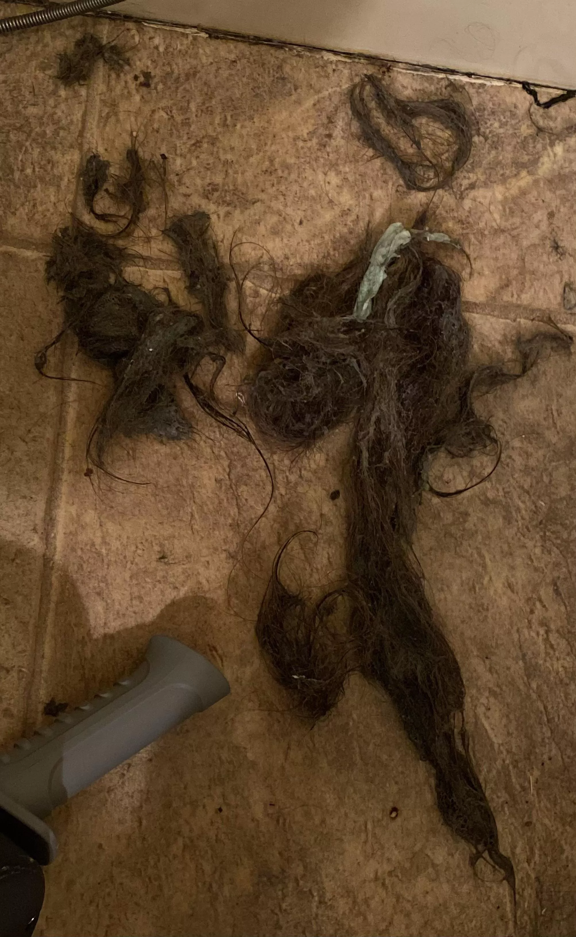 Drain was clogged, so I rage bought a drain auger and used all of the frustration in my 4’8” body to snake the drain myself. What came out was 6+ years of built up hair, soap scum, some sort of… gum? and plenty of weird grey juice (which some got i Drain was clogged, so I rage bought a drain auger and used all of the frustration in my 4’8” body to snake the drain myself. What came out was 6+ years of built up hair, soap scum, some sort of… gum? and plenty of weird grey juice (which some got i