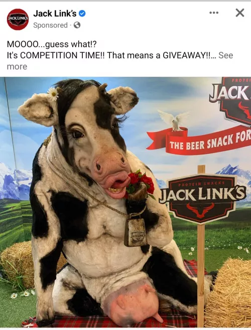 Drunk cows at 5 am looking for a ride home be like.