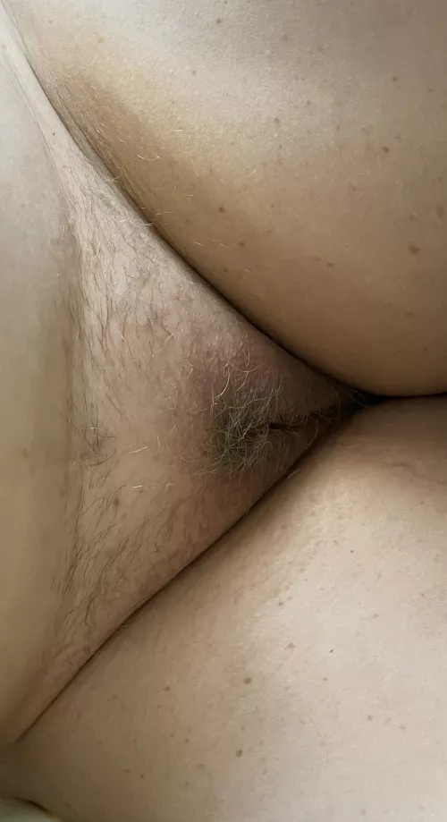 Ex Wife looking for someone to cum on her fur (F46)