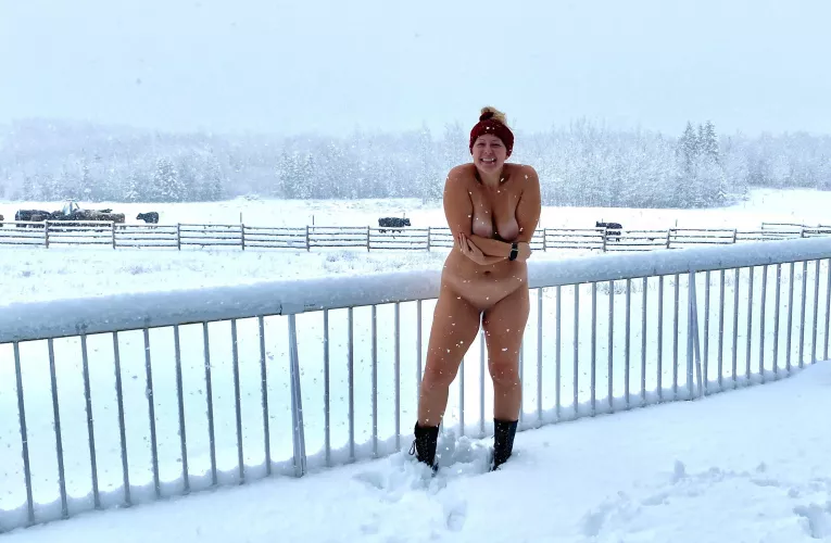 [f] Atleast the cows are warm 😆🐄