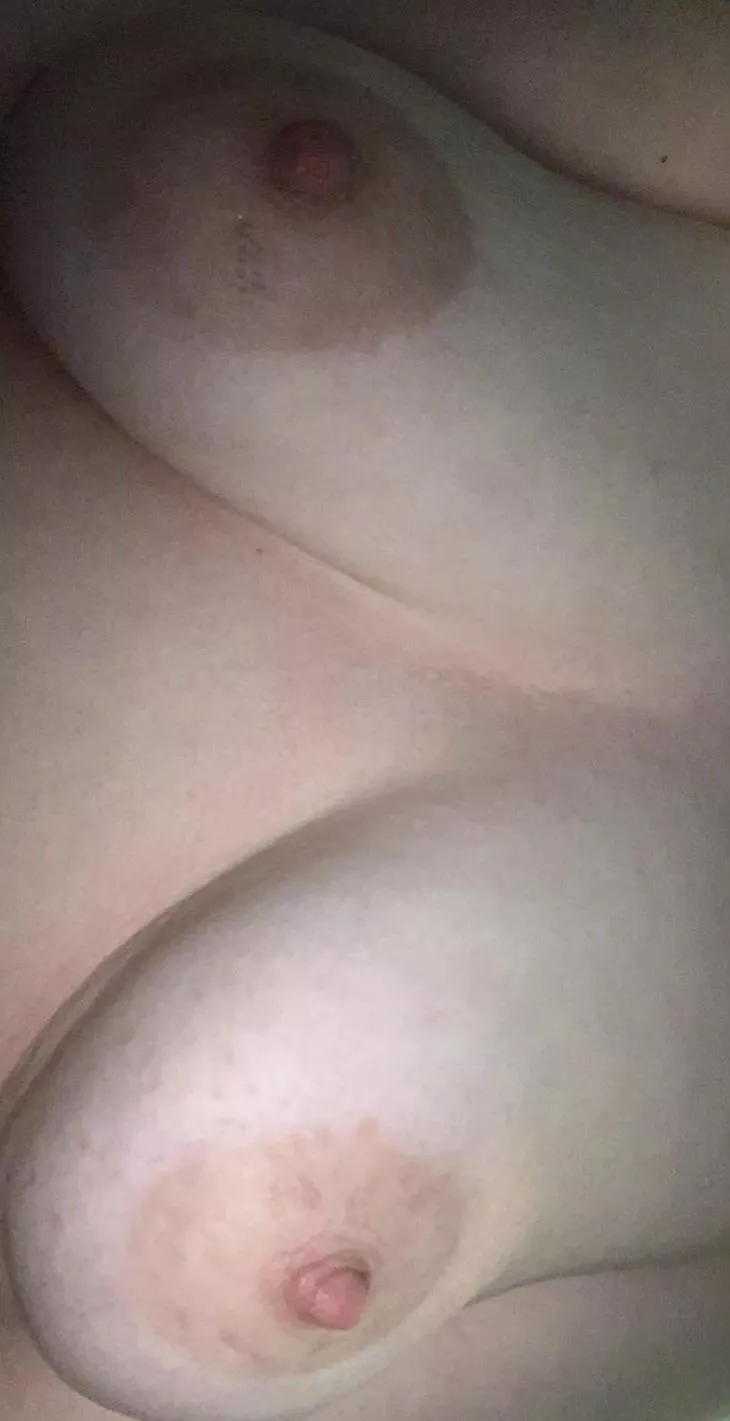 [F] 🌙