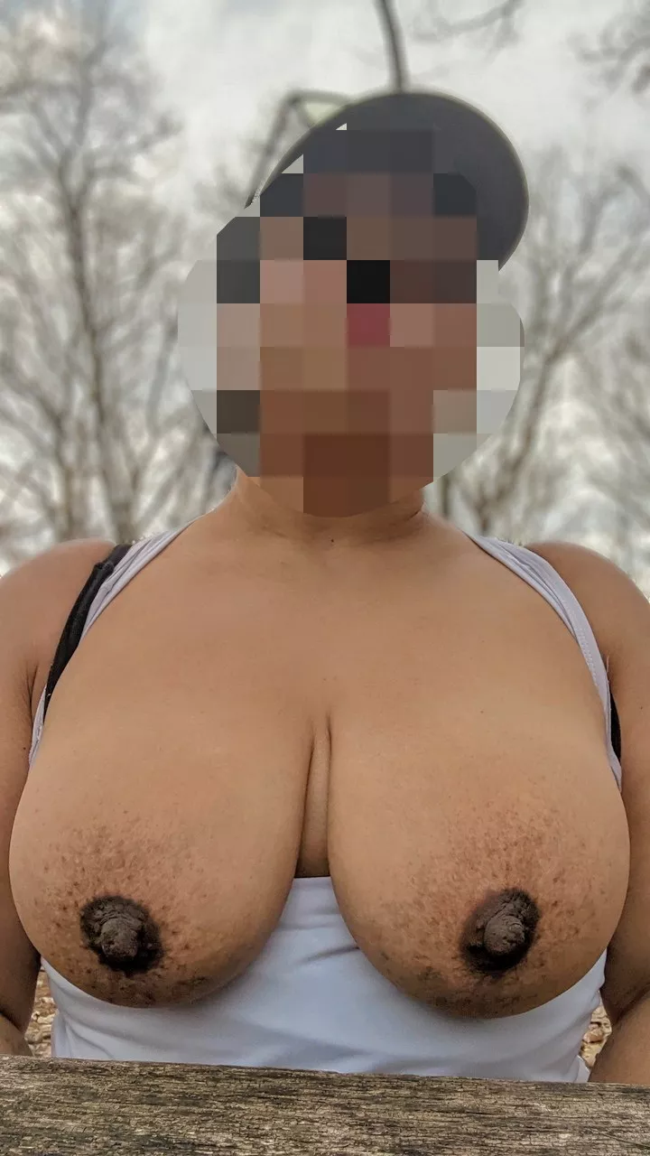 [F] Picnic Titties